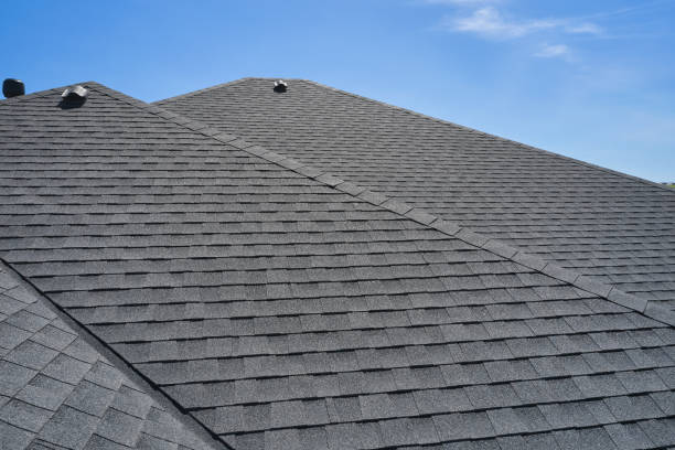 Best Solar Panel Roofing Installation  in Olathe, KS